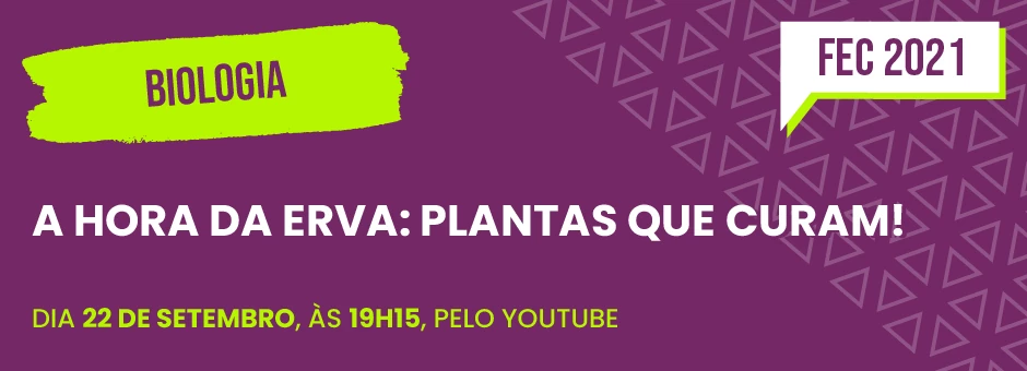 A Hora da Erva: Plantas que Curam!