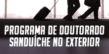 Banner de divulgao do Programa de Doutorado Sanduche no Exterior