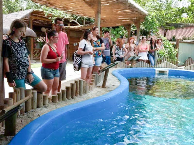 Biologia_Marinha