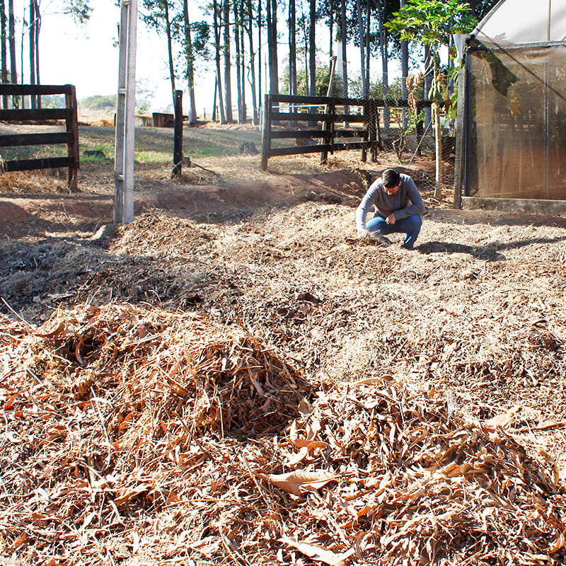 Na Fazenda-Escola, os alunos aprendem o processo de compostagem com grama, esterco, palha e outros substratos
