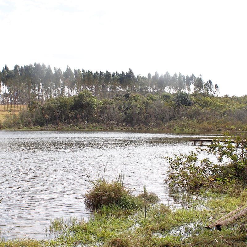 A Fazenda-Escola é bem ampla e possui um lago