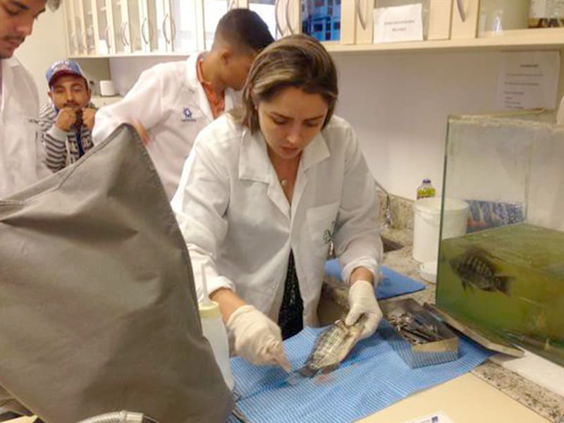 Visitas Técnicas