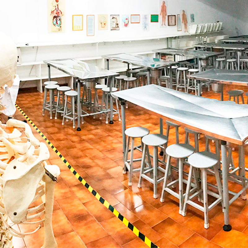 Laboratório de Anatomia