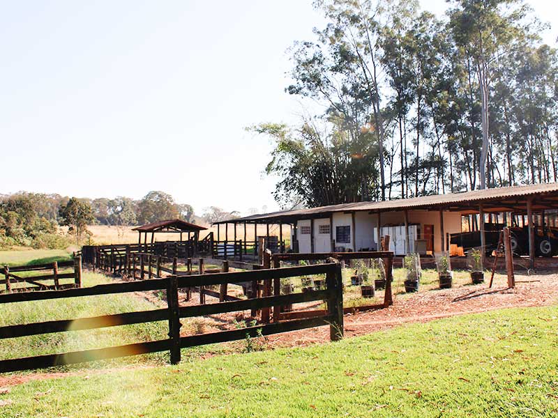 Fazenda Escola