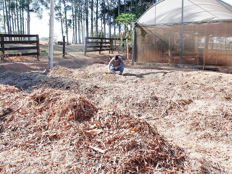 Fazenda Escola