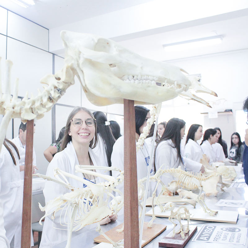 Alunos do primeiro ano já realizam atividades práticas nesses laboratórios