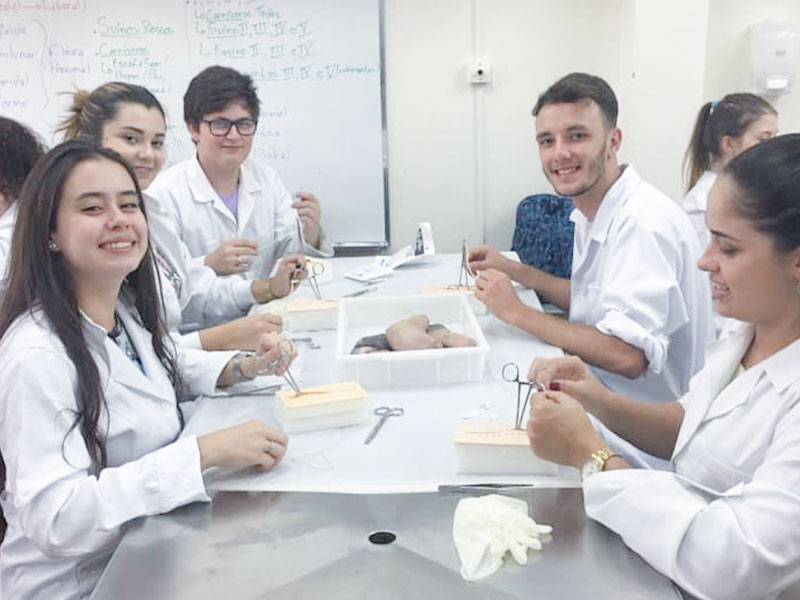 Curso teórico e prático de suturas