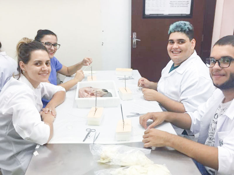 Curso teórico e prático de suturas