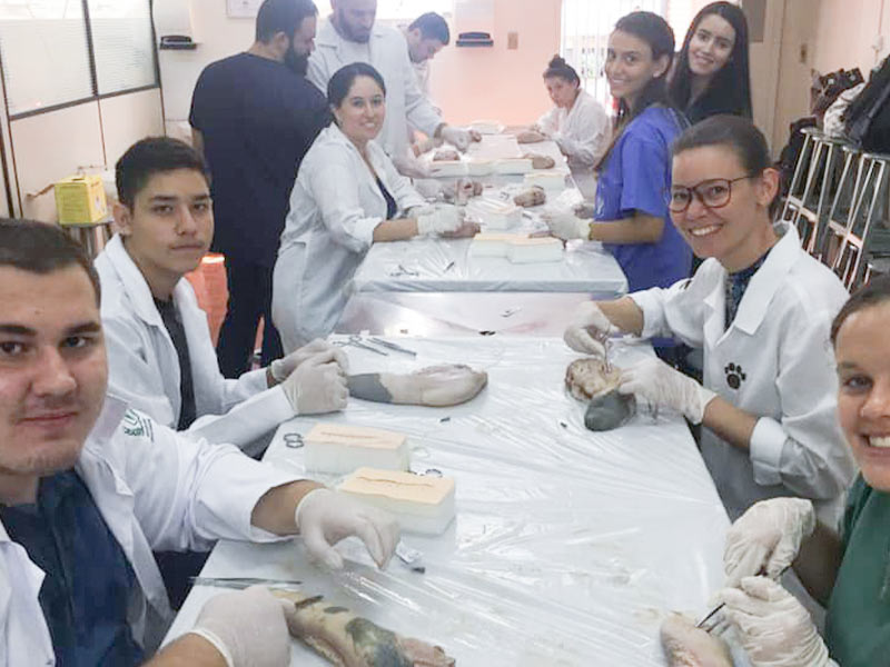Curso teórico e prático de suturas