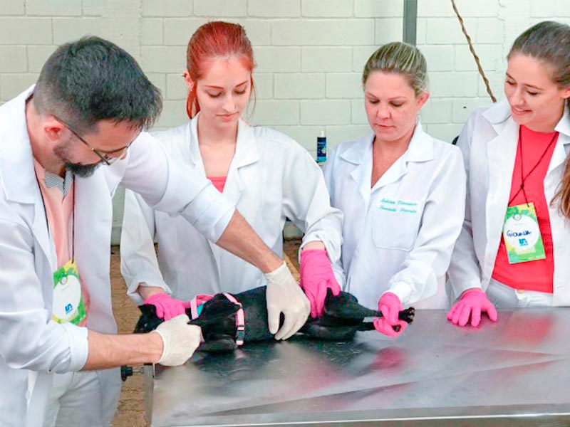 Participação em Eventos