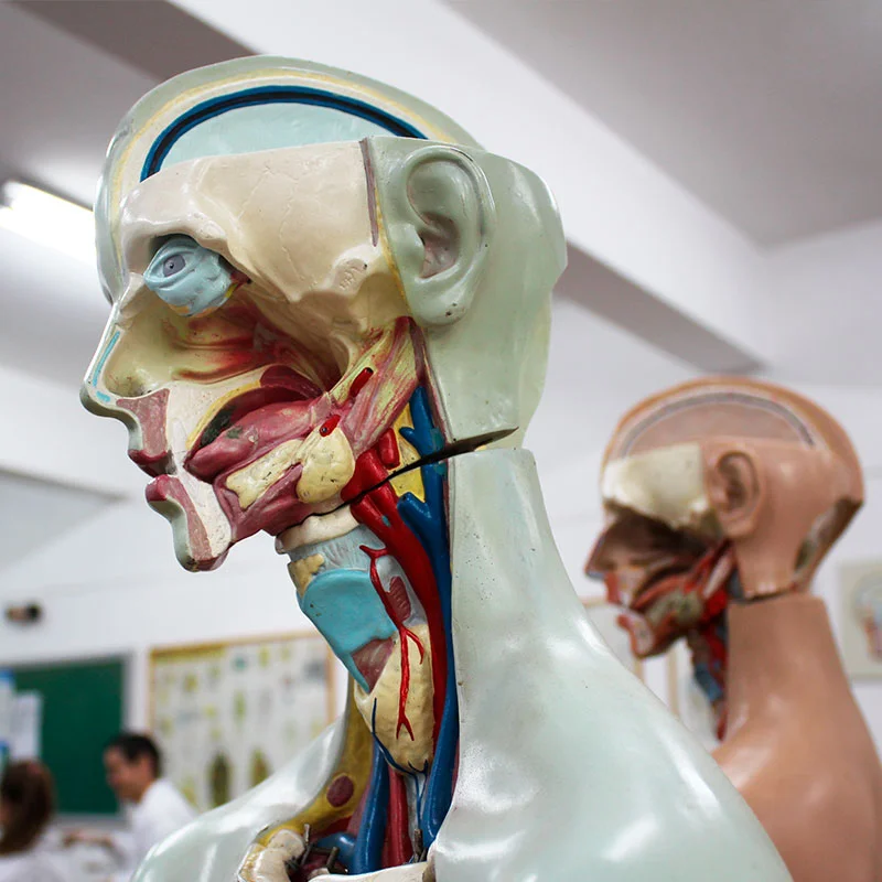Infraestrutura do curso de Medicina