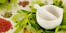 fitoterapia e prescrio de fitoterpicos